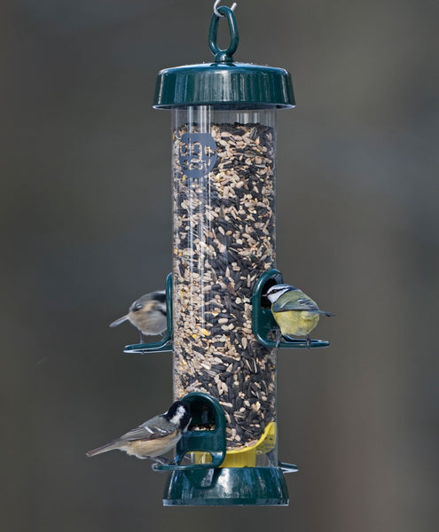 Hanging Bird Feeders For Small Birds - Jacobi Jayne? Bigeasy? Medium Seed Bird Feeders For Wild And Garden Birds - Squirrel-Resistant Bird Feeder With