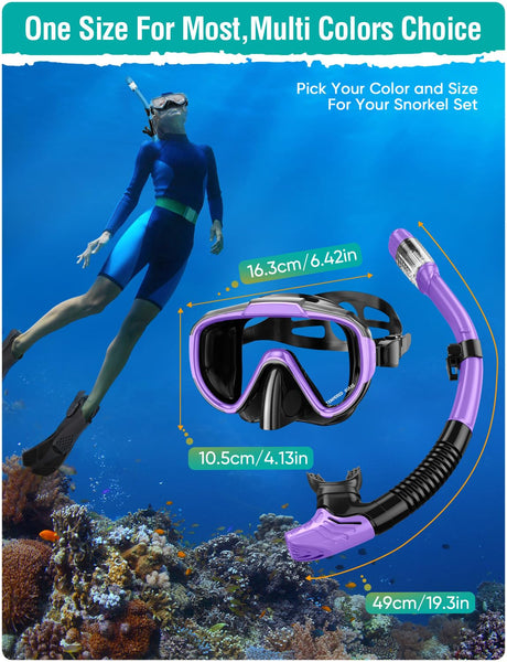 Lealinga Snorkel Set Adults Snorkel Mask Anti-Fog Panoramic View Diving Mask Dry Top Snorkel Kit with Travel Bag Diving Set for Snorkeling Scuba Diving Swimming Travel