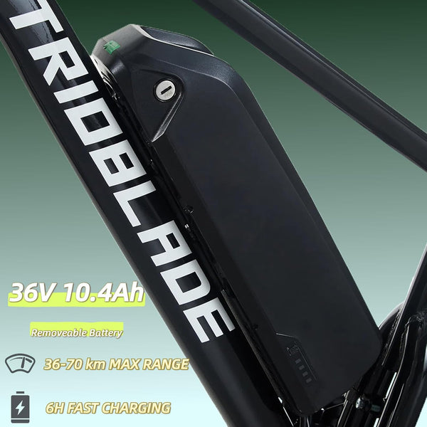 BSTSEL 26 inch Wheels Electric Bike Fat Tires for Adults with 36V 10.4Ah Removable Battery 21-Speed All-Terrain eBike, 250W Motor 25KM/H Electric Mountain Bike for Men Women, 4 Riding Modes