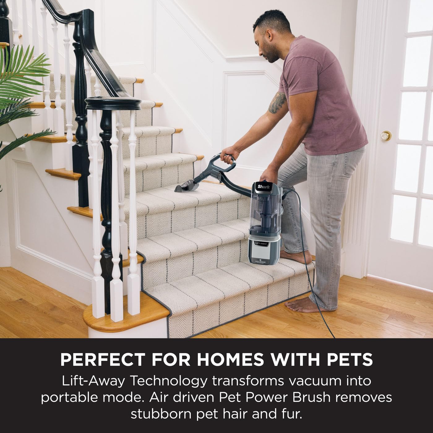 Shark Corded Upright Vacuum Cleaner 1.1L with Anti Hair Wrap Technology, LED Headlights, Lift-Away, Anti-Allergen, 8m Cord, 750W, 2 Attachments, Royal Grey, NZ691UK