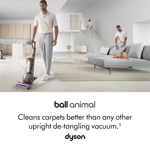 Dyson Ball Animal UP32 Vacuum Cleaner (Nickel/Silver)