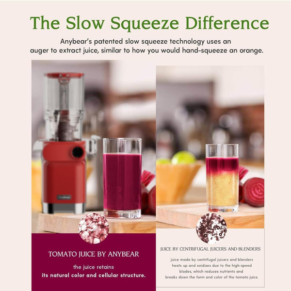 Anybear Cold Press Juicer, 200W Masticating Slow Juicer 4.3" Large Feed Chute Fit Whole Fruits Vegetables | Upgraded Auger | Tritan Materials | BPA Free | Juice Recipes (Silver)