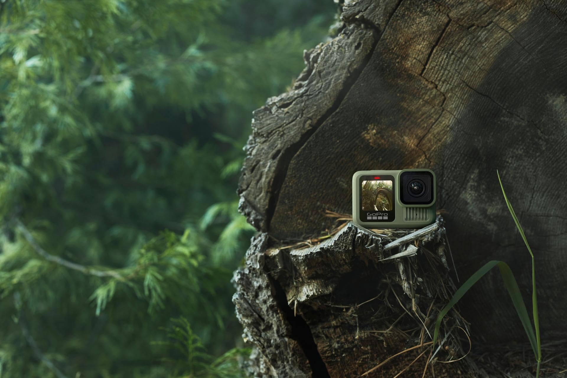 GoPro HERO13 Black in Forest Green (Limited Edition Color) - Waterproof Action Camera with 5.3K60 Video, 27MP Photo + Compatability with HB-Series Lenses