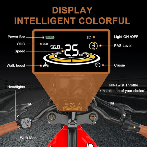 Hidoes B10 Ebikes for Adults,13Ah Battery 70Km Range,Fat Tire Electric Bike for Adults Up to 25Km/h, 60N·M Motor Electric Bicycle Retro E Bike,with Leather Bags,20" All-Terrain Tires