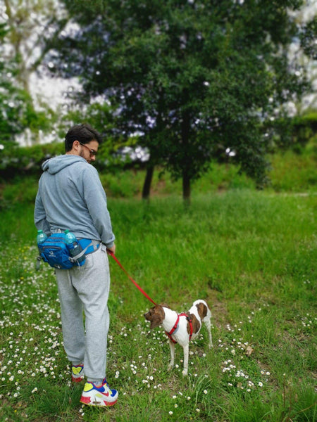 Waterfly Hiking Waist Pack Bum Bag Waist Bag with Bottle Holder Running Bag for Camping Climbing Travel Cycling and Dog Walking