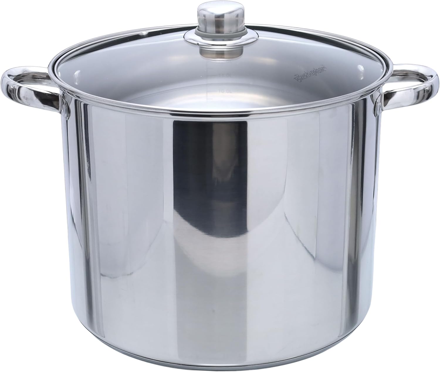 Buckingham Stainless Steel Stock Pot with lid Multipurpose Large Cooking Pot for Soups Stews (11 Litre)