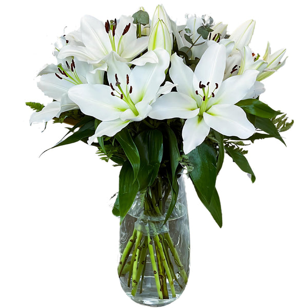 Homeland Florists White Scented Oriental Lily Fresh Flower Bouquet, Luxury Large Gift Wrapped Lilies with Handwritten Gift Card for Birthday or