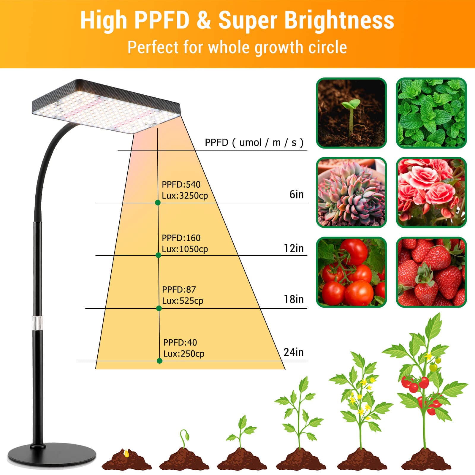 FECiDA Grow Lights for Indoor Plants, UV-IR Full Spectrum Desk LED Plant Grow Light, 25 Watt 2000 Lumen Houseplant Growing Lamp with On/Off Switch,