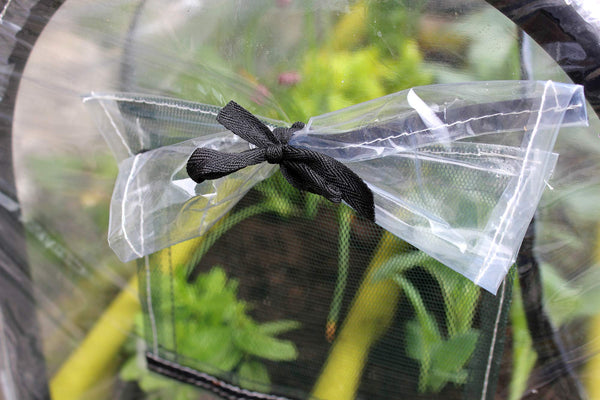 Haxnicks Vigoroot Easy Table Garden | Self Watering Raised Bed Planter With Cover | Doubles As Small Greenhouse | Growing Vegetables Bush Tomatoes