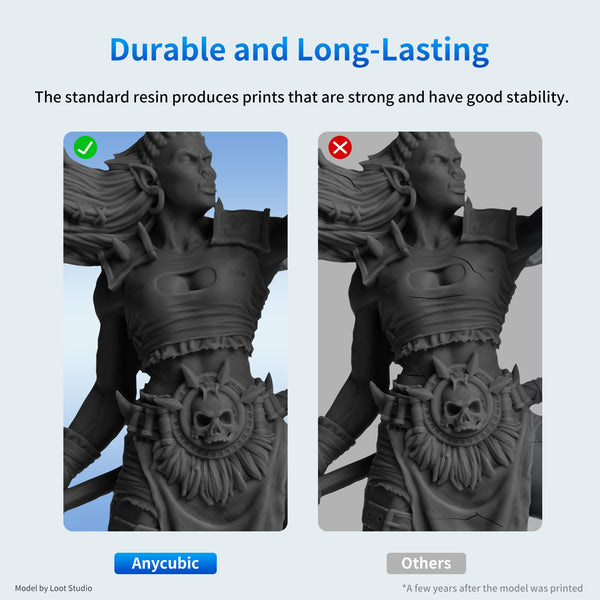 ANYCUBIC Standard 3D Printer Resin, LCD UV 405nm Rapid Photopolymer 3D Resin for 6K/8K/12K/14K LCD 3D Printers(1000g, Grey)