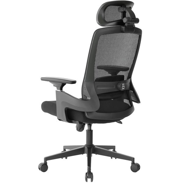 Realm of Thrones CAPTAIN Ergonomic Office Chair for Home, Heavy Duty Steel Base, Versatile Flip-up Armrests, Adjustable Lumbar Support, Mesh Back Comfort Cushion Seat for Computer Desk/Gaming (Black)