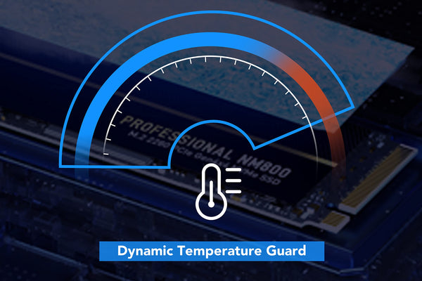 Lexar NS100 2.5” SATA III 6Gb/s Internal 256GB SSD, Solid State Drive, Up To 520MB/s Read, for Laptop, Desktop Computer/PC (LNS100-256AMZN)