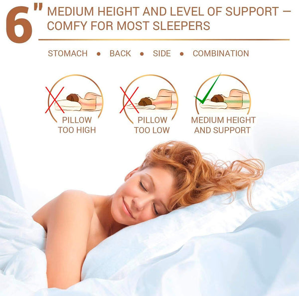 5 STARS UNITED Standard Pillows 2-Pack - 50x65 cm - Standard Size Hotel Quality Pillow for Sleeping - Ultra Soft Support Bed Pillows - Cotton Covers