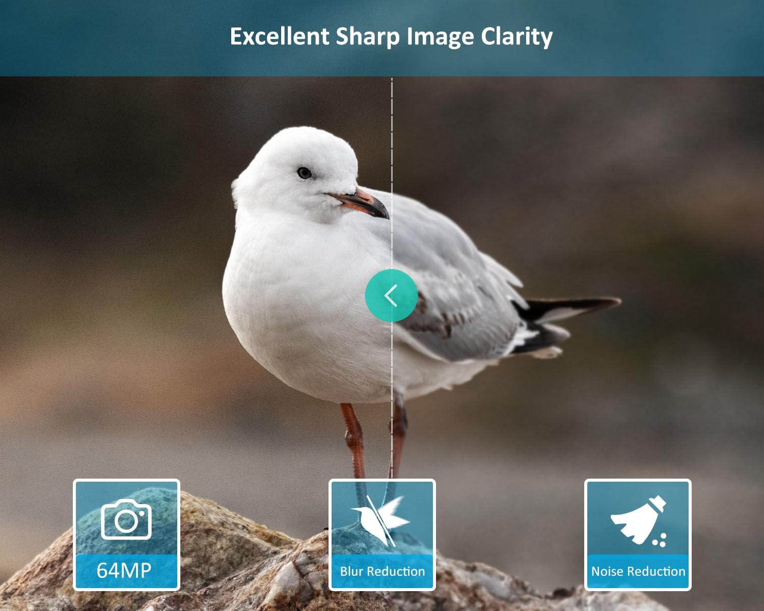 GardePro E5S Wildlife Camera, 64MP 1296p Trail Camera, H.264 Video, 100ft Night Vision, Ultra-fast 0.1s Motion Activated, Garden Camera Trap