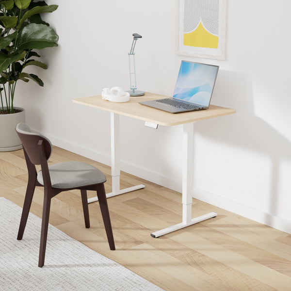 Devoko Electric Standing Desk 120x60cm Sit Stand Table Height Adjustable with Backpack Hook and Memory Smart Pannel, Home Office, White