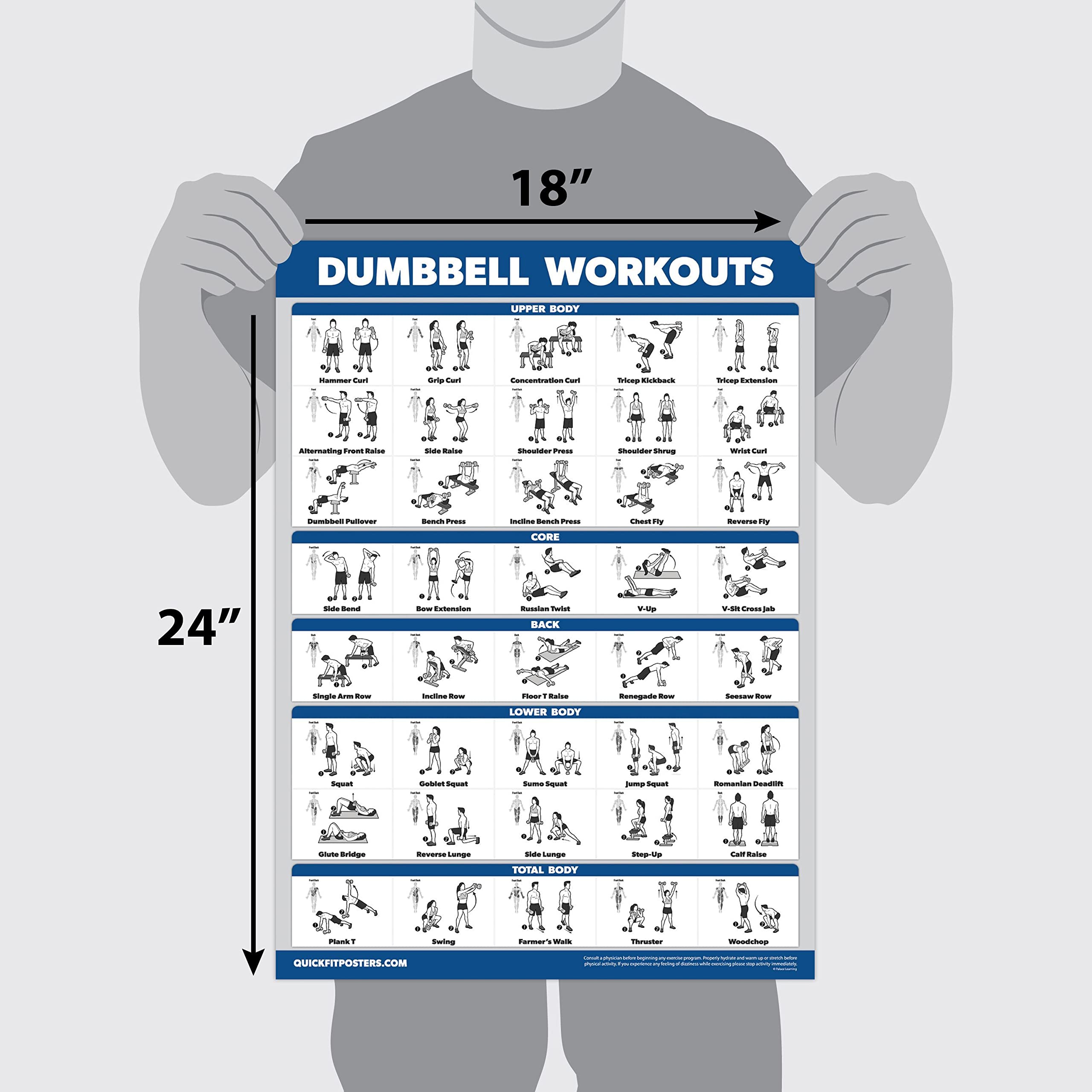 Palace Learning 16 Pack - Exercise Poster Set: Dumbbell, Suspension, Kettlebell, Resistance Bands, Medicine Ball, Battle Rope, Stretching, Bodyweight,