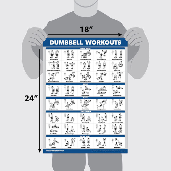Palace Learning 16 Pack - Exercise Poster Set: Dumbbell, Suspension, Kettlebell, Resistance Bands, Medicine Ball, Battle Rope, Stretching, Bodyweight,