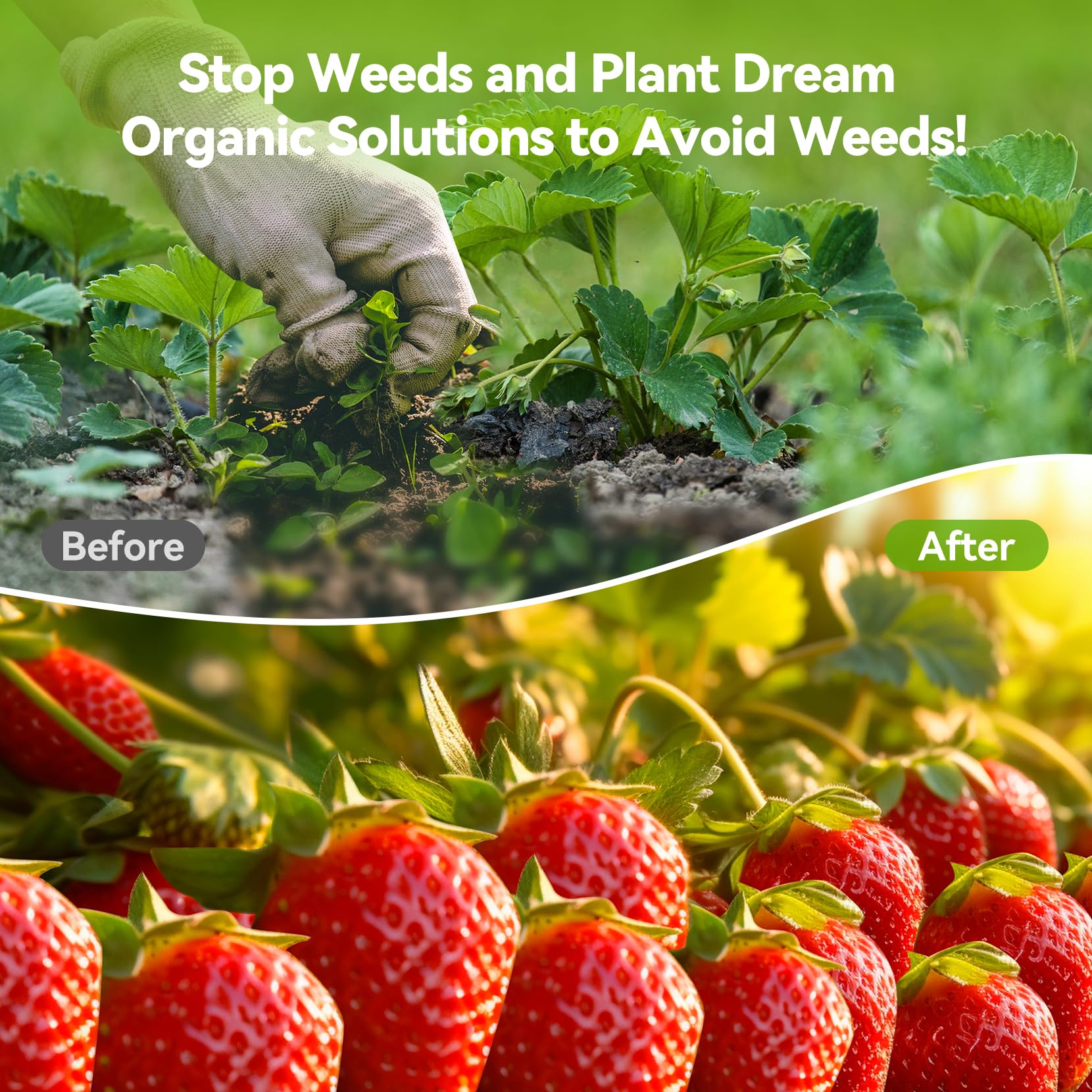 iropro 2m x 100m Heavy Duty Weed Control Membrane Garden Weed Barrier Fabric for Landscaping Driveway Gravel Artificial Grass Lawn Underlay Black