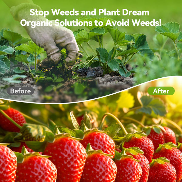 iropro 3m x 25m Heavy Duty Weed Control Membrane Garden Weed Barrier Fabric for Landscaping Driveway Gravel Artificial Grass Lawn Underlay Black Woven