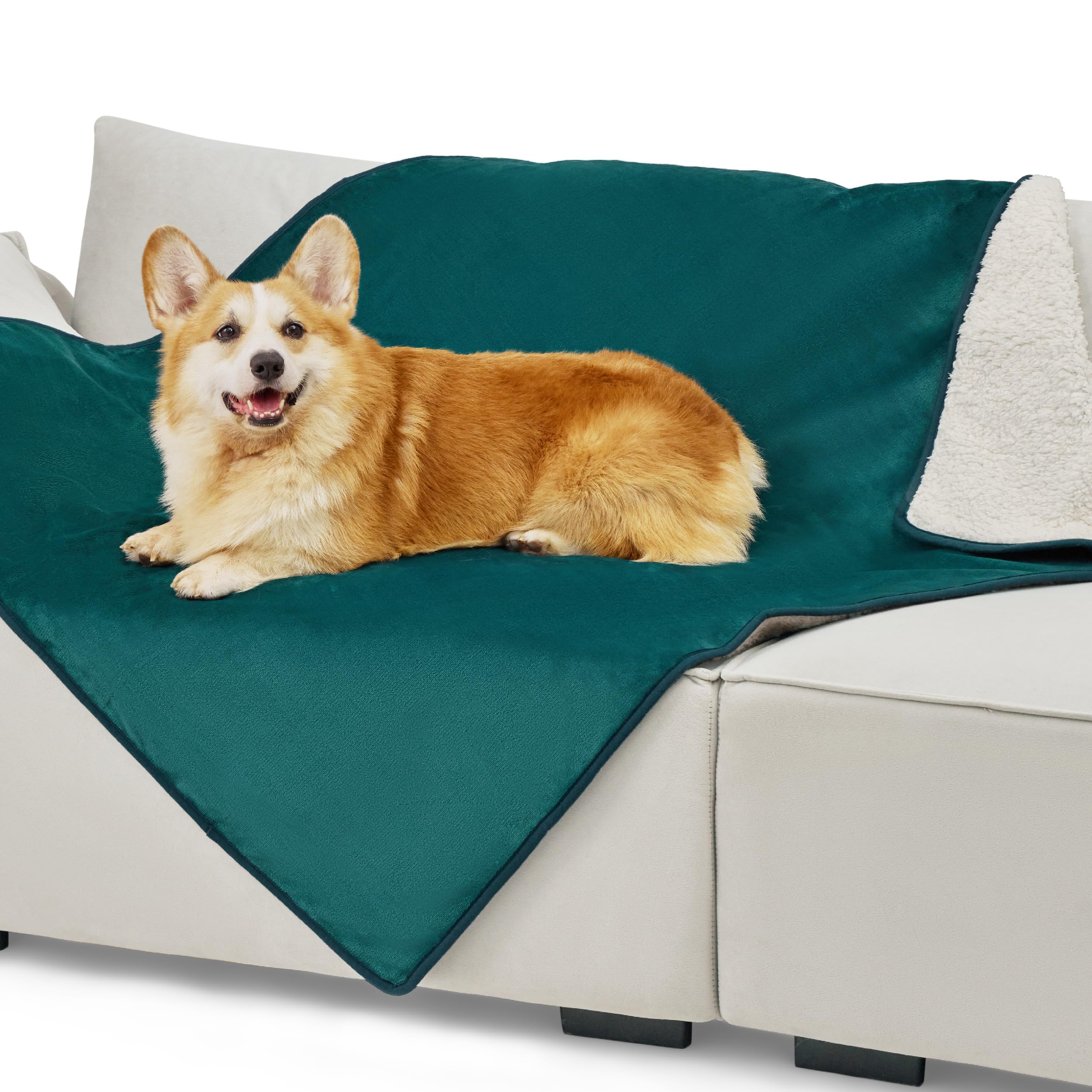 Lesure Waterproof Fleece Blanket Washable - 152x203cm Ultra Soft Grey Dog Blanket Over Sofa Bed Garden, Twin/Double Throw with Soft Plush, Fit All Season