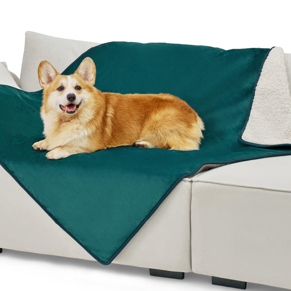 Lesure Waterproof Fleece Blanket Washable - 152x203cm Ultra Soft Grey Dog Blanket Over Sofa Bed Garden, Twin/Double Throw with Soft Plush, Fit All Season