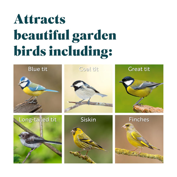 RSPB - Peanuts for Wild Birds, Wild Bird Food for Small Birds, High Energy Food, Rich in Protein and Fat, Free from Aflatoxin, Made in the UK,
