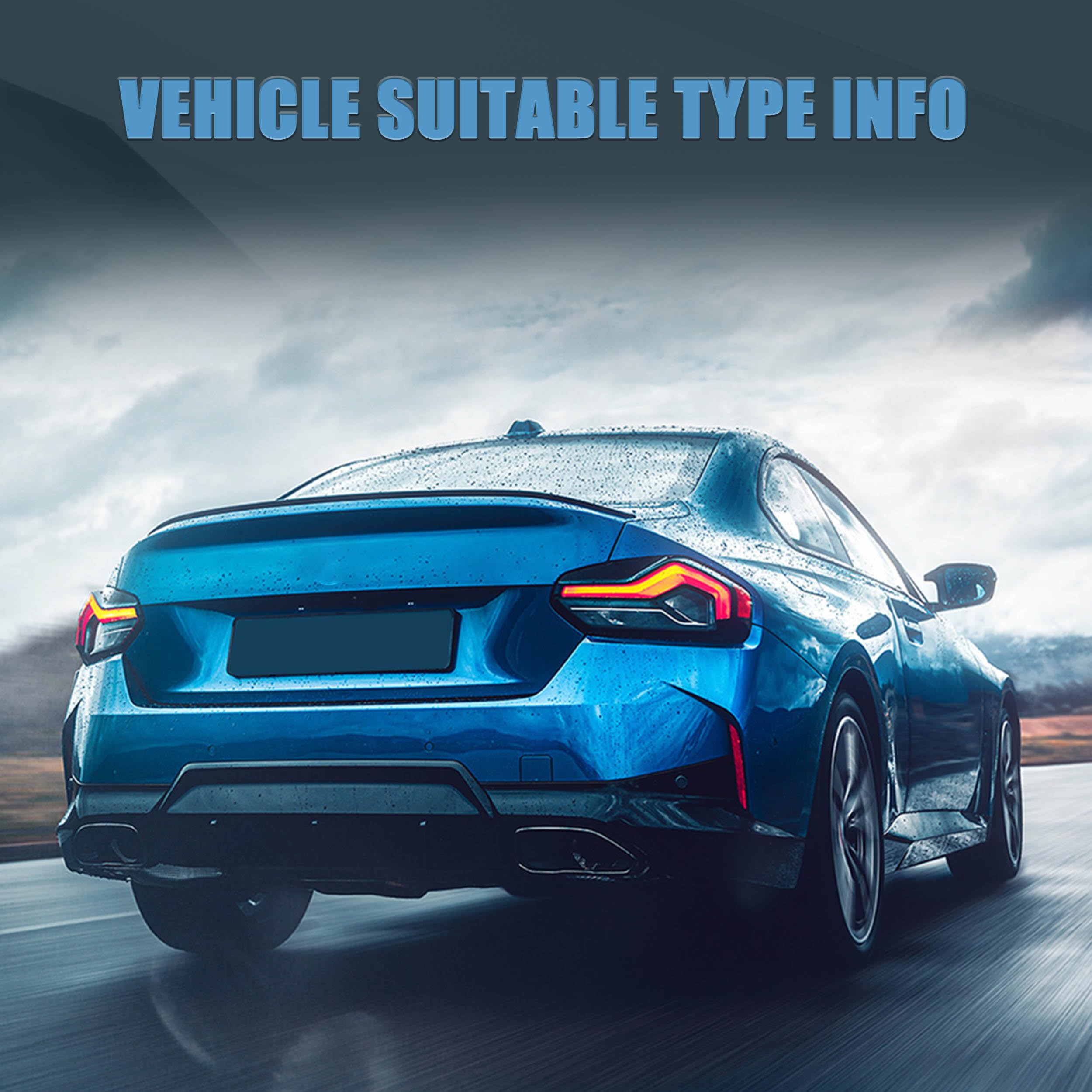 VLAND OLED Rear Lights Compatible with 2013-2018 BMW 3 Series F30 F35 F80 320i 328i 335i Sedan (Not for F31 F34), Tail Lights with Sequential Indicators, E-mark, Red