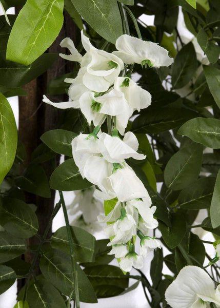 GreenBrokers Premium Artificial Wisteria Tree 130cm/4ft Potted Plant, White 4ft, 130cm