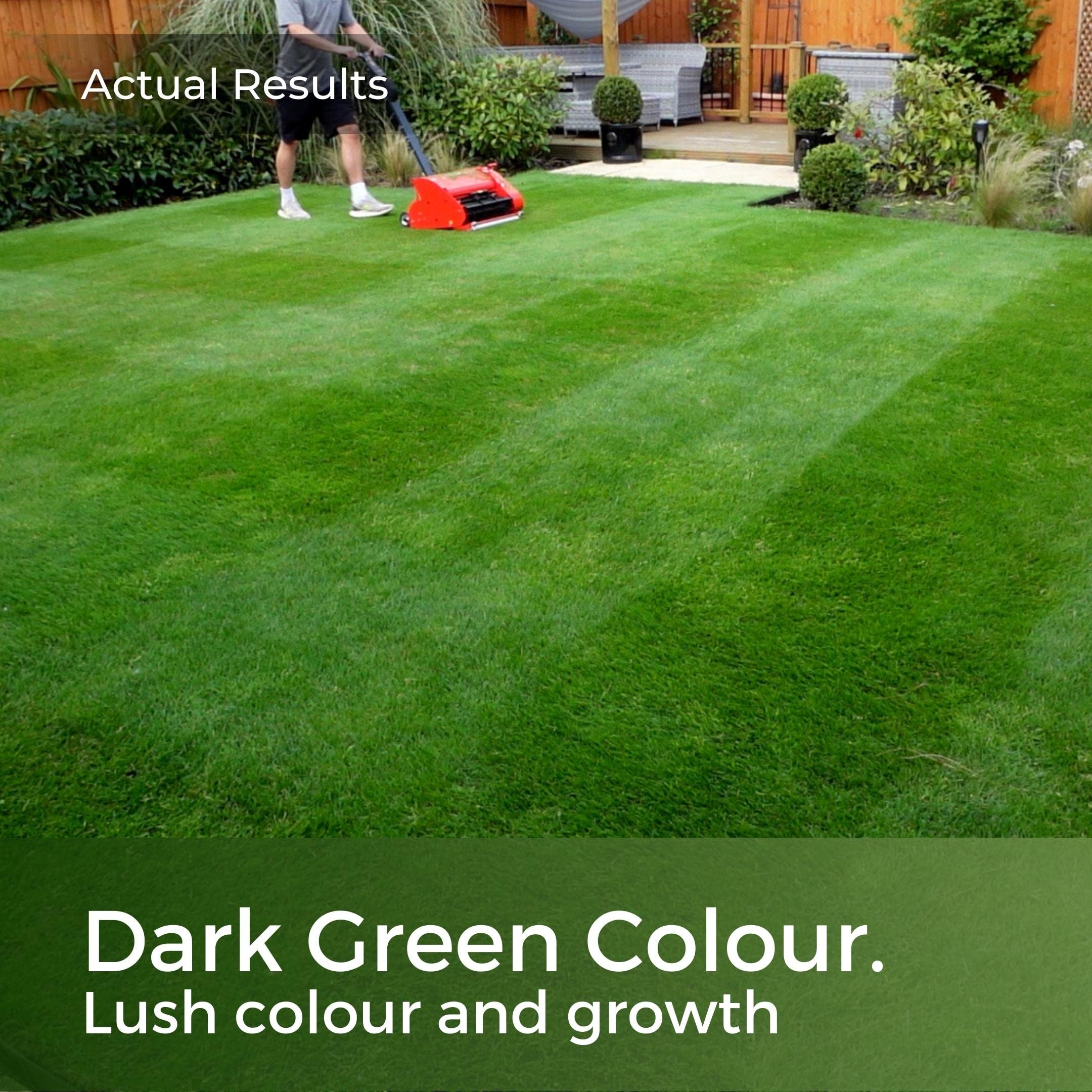 Dark Green Lawn Seed - Grass Seeds for a Green Lawn All Year Round - Hard Wearing & Fast Growing Mix - Garden Lawncare Guy (5kg - 200m?)