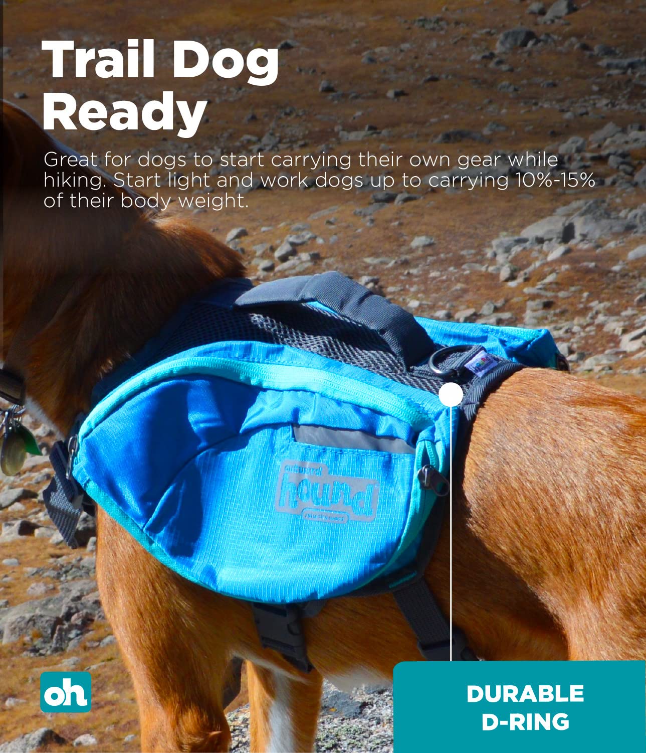 Outward Hound Kyjen 22005 DayPak Dog Backpack Adjustable Saddlebag
