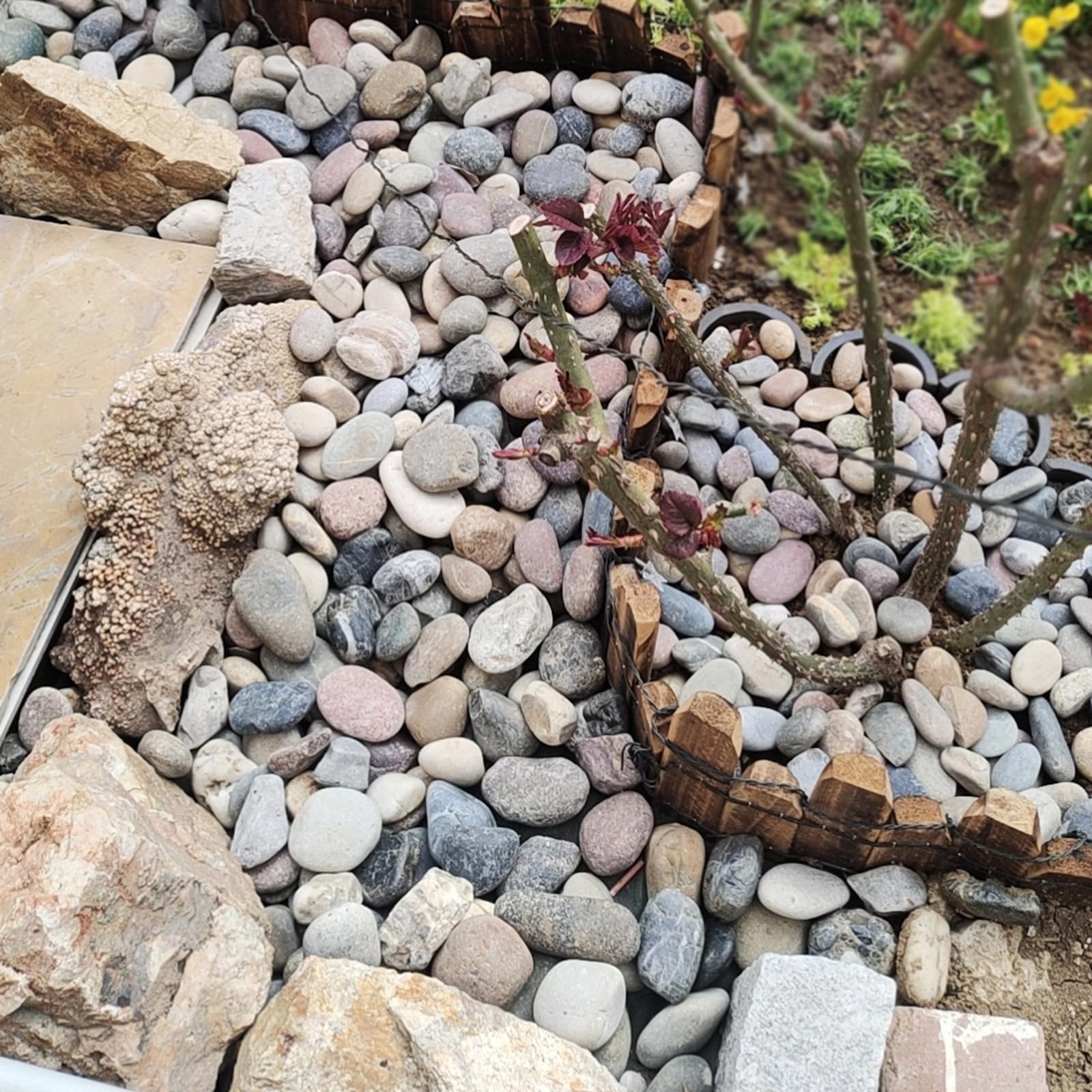 FANTIAN 20 lbs Garden Stones,2-4 cm Beach Cobbles. Decorative Stones Pebbles for Garden, Ponds, Water Features, Aquarium, Borders and Ground Cover