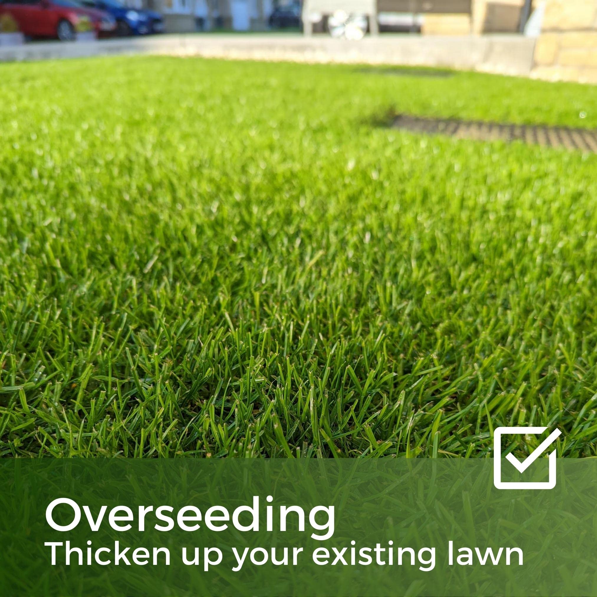 Fast Growing Grass Seed UK - Repair Lawns and Patches Quick - Pet Friendly & Hardwearing - 10kg - Garden Lawncare Guy