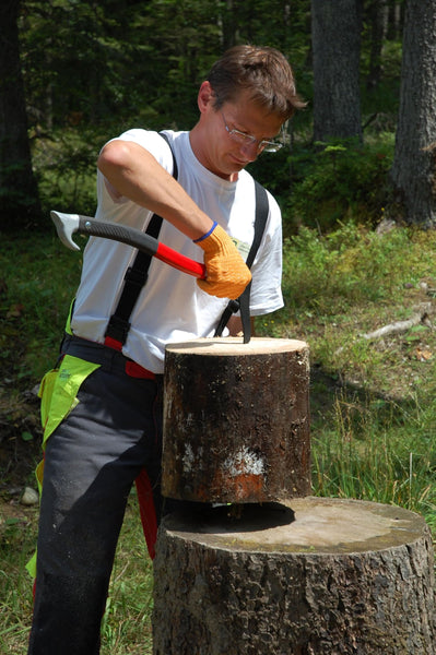 Greenstar 10797 Aluminium Handled Log Lifting Pick 450 g, Black, 511421