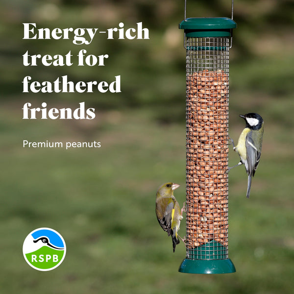 RSPB - Peanuts for Wild Birds, Wild Bird Food for Small Birds, High Energy Food, Rich in Protein and Fat, Free from Aflatoxin, Made in the UK,