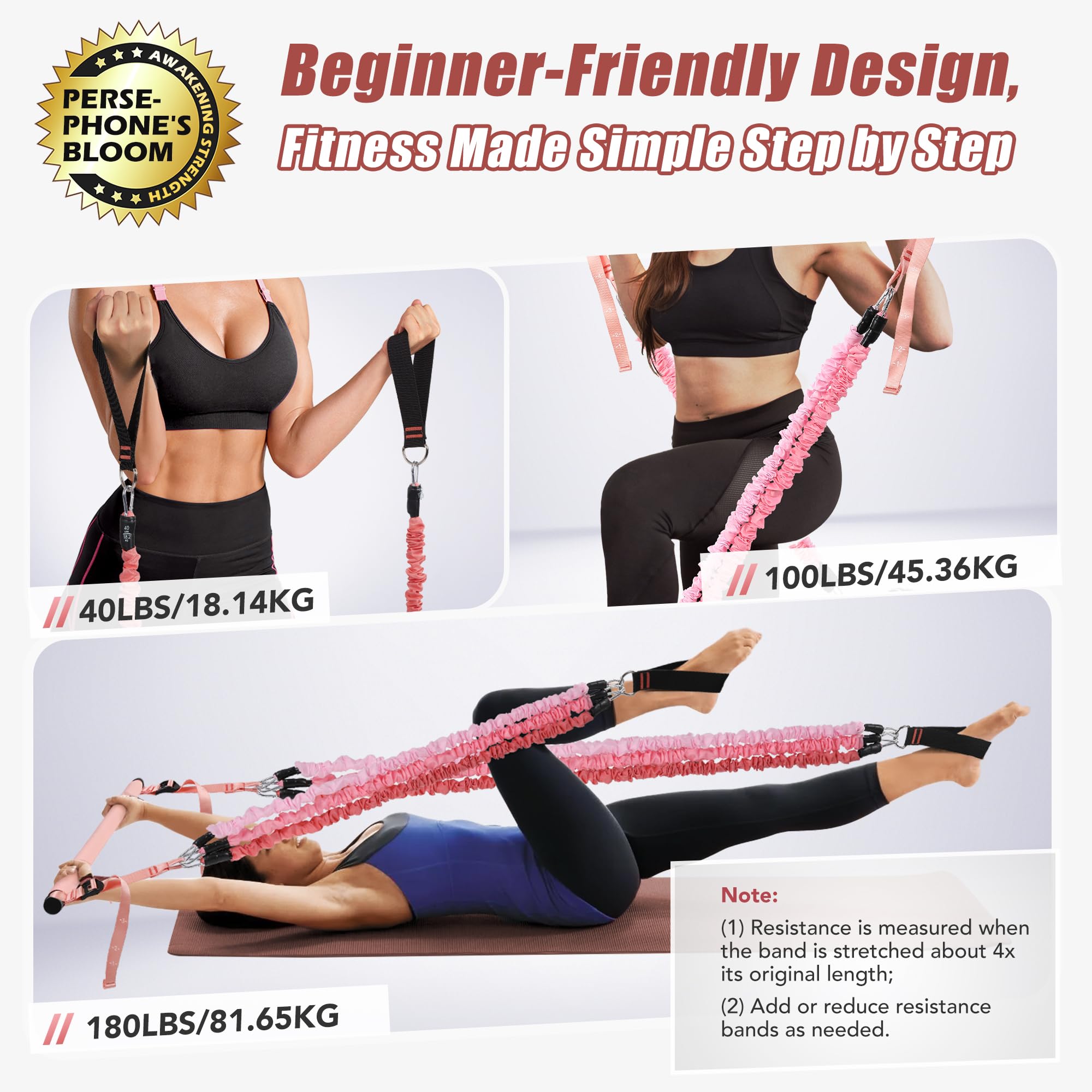 ALongSong Pilates Equipment Pilates Reformer With 6 Resistance Bands 20/30/40lbs Anti-Snap Protection For Home Gym Workout Yoga Twisting Squat