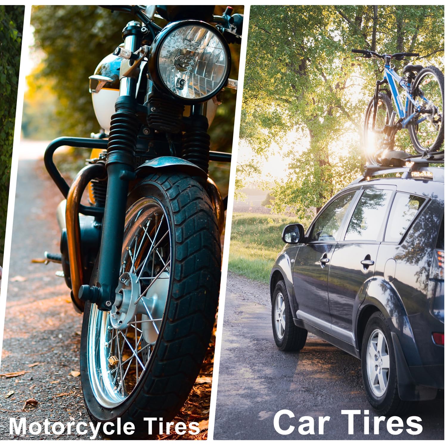 GOBKO Bike Pump Bicycle Floor Pump with Gauge, Bicycle Pumps with Presta and Schrader tire Pump multifunctional Air Pump for Road Bike MTB Sports Balls Pump High Pressure 160Psi &11Bar