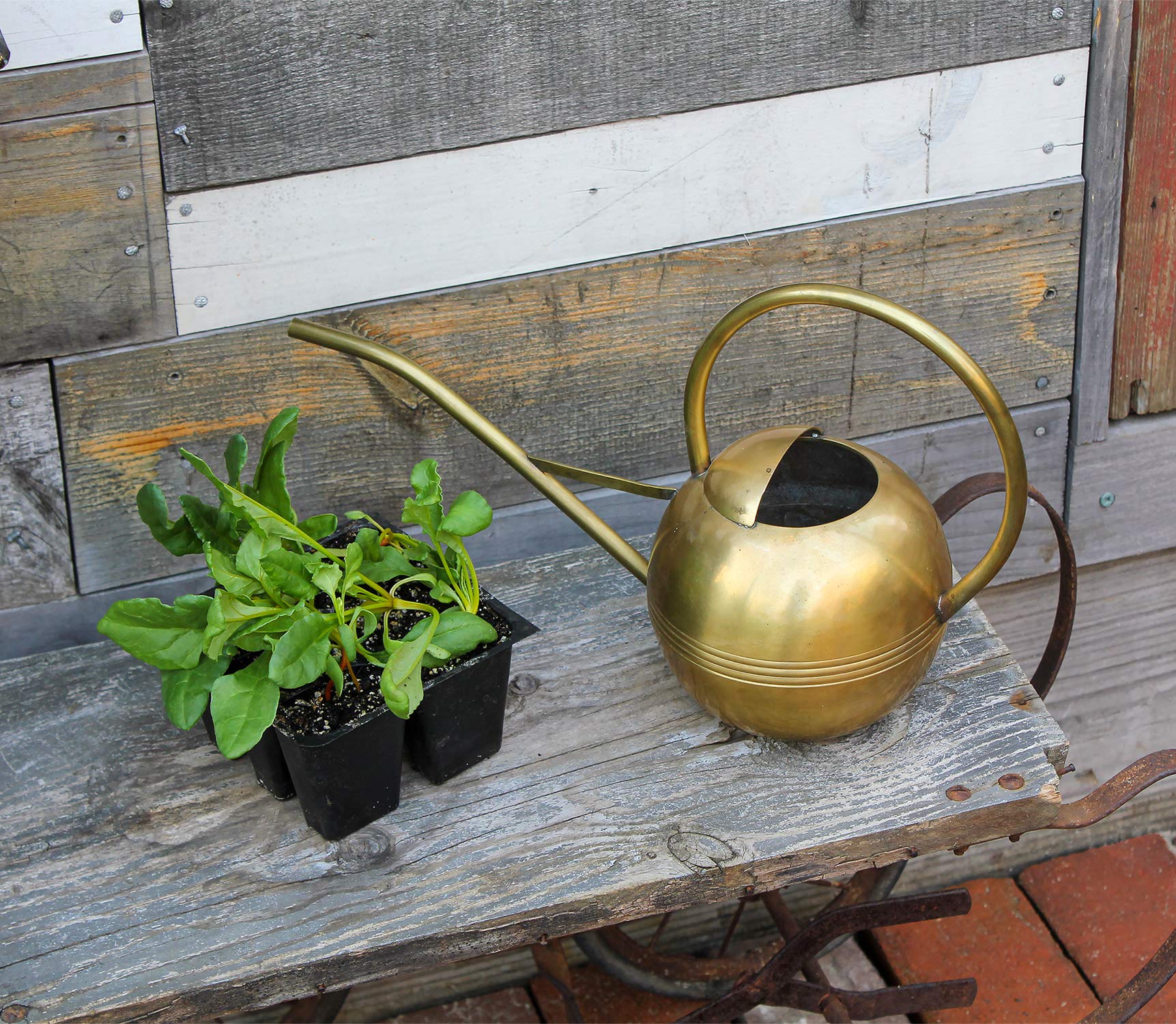 Achla Designs WC-01 Small Watering Can - Brass