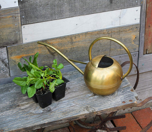 Achla Designs WC-01 Small Watering Can - Brass
