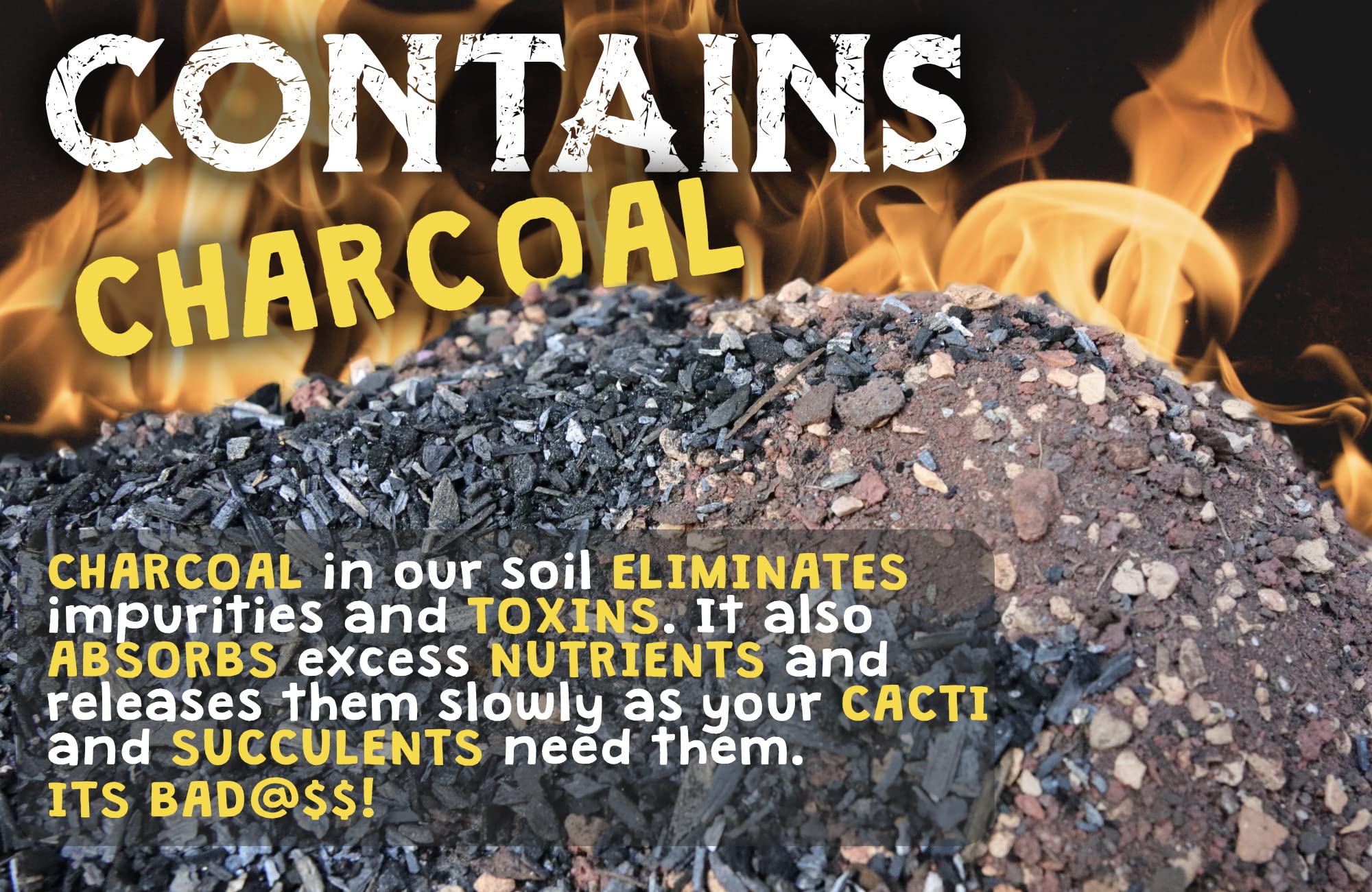 High Drainage Cactus Soil Potting Mix with Mycorrhizal Fungi - 8 Pounds / 4 Quarts of Soil for Succulents and Cactus - Slightly Acidic, Gritty Soil