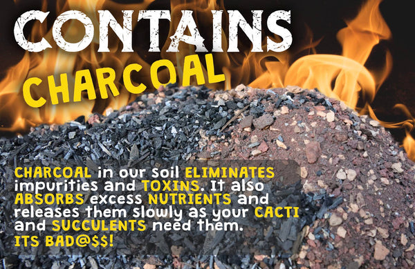 High Drainage Cactus Soil Potting Mix with Mycorrhizal Fungi - 8 Pounds / 4 Quarts of Soil for Succulents and Cactus - Slightly Acidic, Gritty Soil