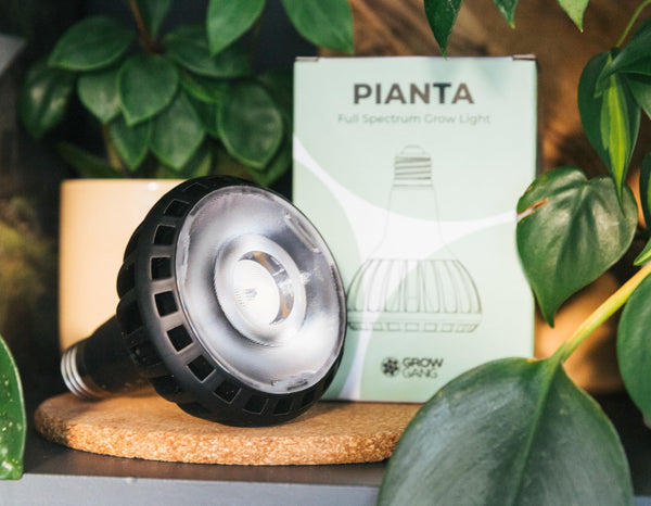 Pianta 18W Full Spectrum LED Grow Light for Indoor Plants ? Plant Grow Bulb, Indoor Grow Light for Growing Succulents Herbs & Cactus, Germination of