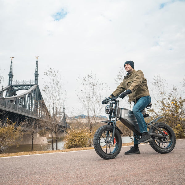 RZOGUWEX Electric Bicycle，20 Inch Off-Road EBIKE for Adults with 48V 25AH Detachable Lithium Ion Battery, Dual Hydraulic Disc Brake with Forged Mags Wheel