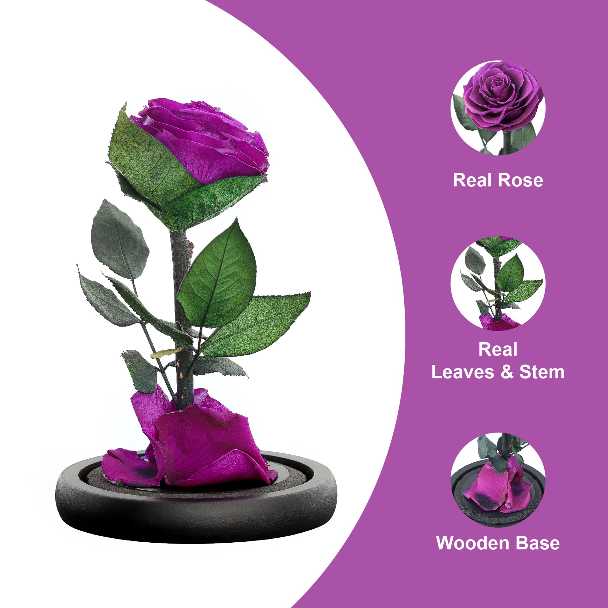 Eternal Forever Rose | Fresh Rose Gift | Single Rose Preserved for 5 Years | Handcrafted | Gifts for Women Birthday unique Unusual | Mothers Day,