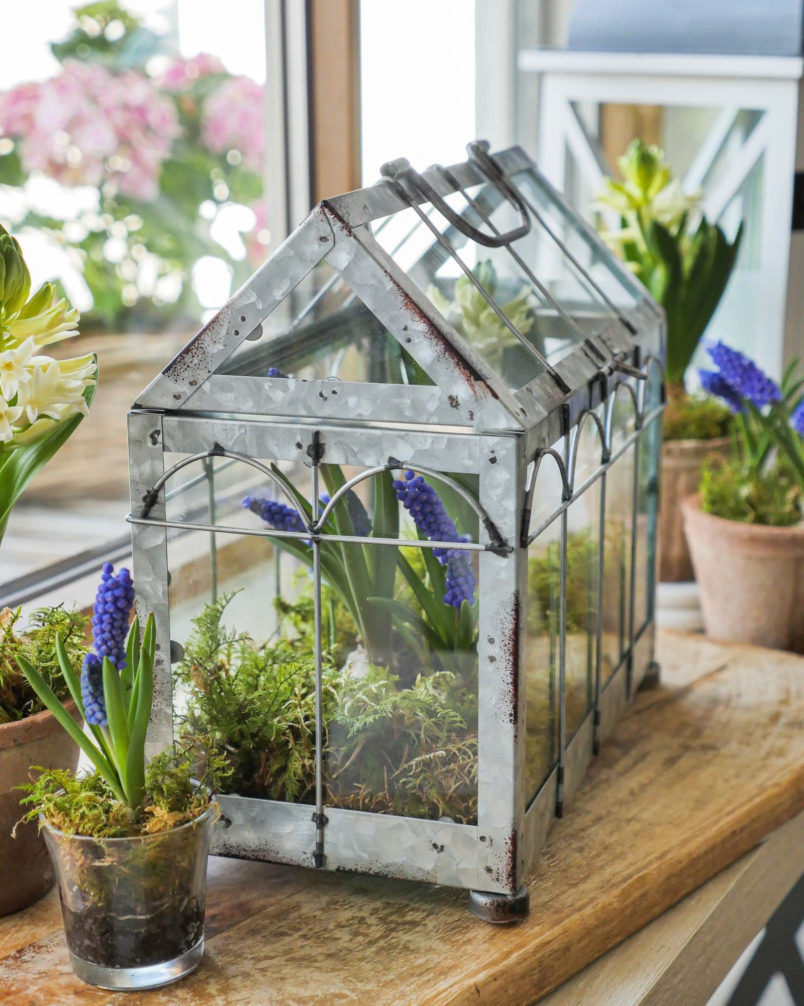 Esschert Design ZB21 Greenhouse with Lockable Lid, Plant House, Iron/Glass with Carry Handle, Sturdy Feet, Multi, Small, 29.3 x 15.4 x 26.4 cm