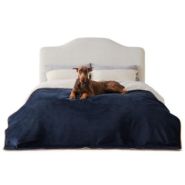 Lesure Waterproof Fleece Blanket Washable - 152x203cm Ultra Soft Grey Dog Blanket Over Sofa Bed Garden, Twin/Double Throw with Soft Plush, Fit All Season