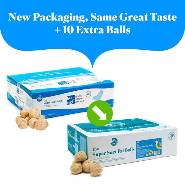 RSPB - Fat Balls for Wild Birds, High Energy Food, Suet Balls for Wild Birds, Made in the UK, Suitable for Year-Round Feeding (Box of 160)