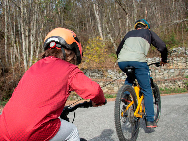 TRAX Pro Bike Towing System