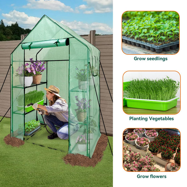 Grandhom Walk In Greenhouse With Shelves,Walk-In Plant Plastic Green House With Durable Green PE Cover, 3 Tiers 6 Shelves Greenhouse Frame Stands with