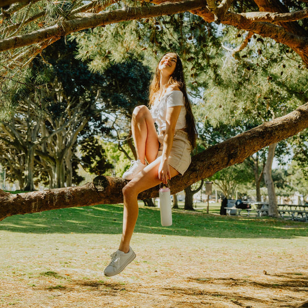 Insulated Water Bottle 700ml(24oz) with Straw, Lid, and Handle - Stainless Steel Sports Travel Gym Bottle for Men and Women (Skiing)