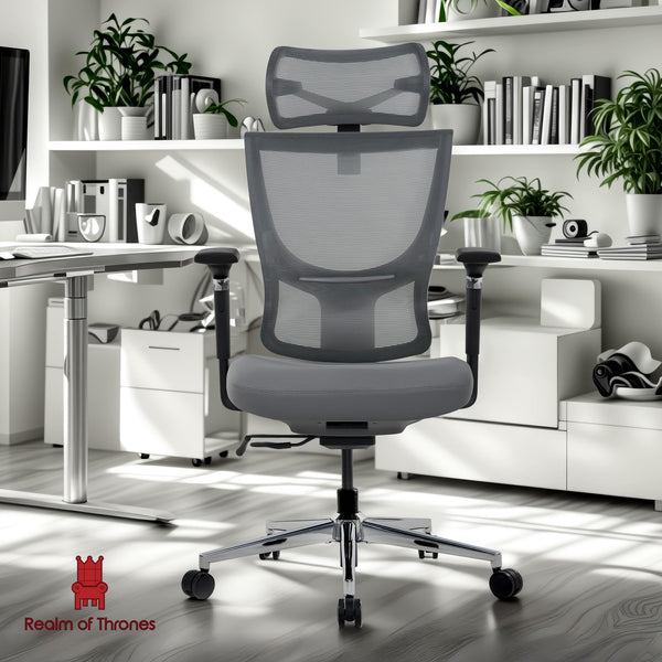 Realm of Thrones CAPTAIN Ergonomic Office Chair for Home, Heavy Duty Steel Base, Versatile Flip-up Armrests, Adjustable Lumbar Support, Mesh Back Comfort Cushion Seat for Computer Desk/Gaming (Black)